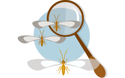 company service A tag