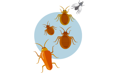 company service C tag